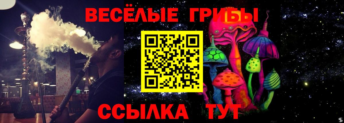 Псилоцибиновые грибы Psilocybine cubensis  Вход с VPN  Галлюциногенные грибы ЛСД  Саянск 